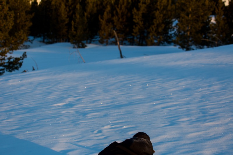 20150308-GC1A0315.jpg